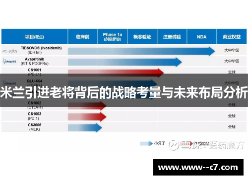 米兰引进老将背后的战略考量与未来布局分析 米兰引进老将背后的战略考量与未来布局分析