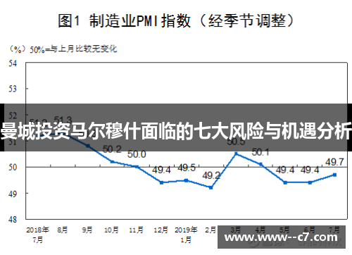 曼城投资马尔穆什面临的七大风险与机遇分析