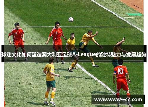 球迷文化如何塑造澳大利亚足球A-League的独特魅力与发展趋势 球迷文化如何塑造澳大利亚足球A-League的独特魅力与发展趋势